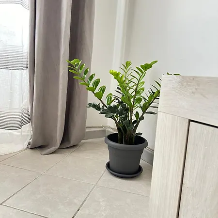 Osy Appartement *
